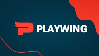 playwing-projects